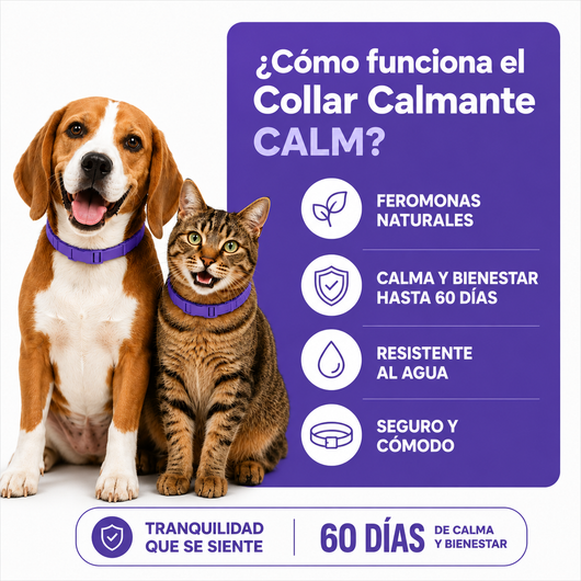 Collar calmante