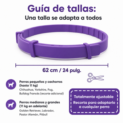 Collar calmante