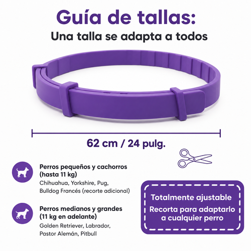 Collar calmante