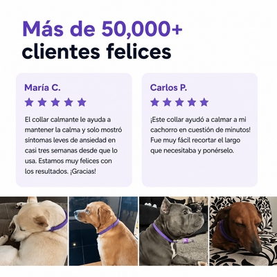 Collar calmante